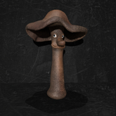 Cica's mushroom2