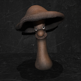 Cica's mushroom1