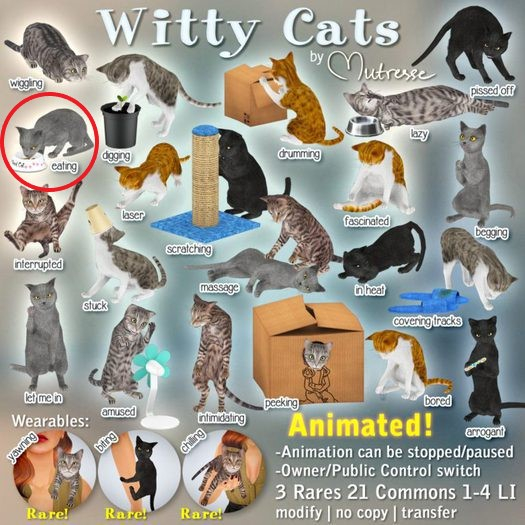 02-Mutresse-Eating-Witty Cats