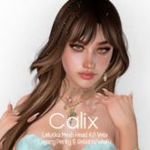 ~BALAM~ Calix Shape (Lelutka EVOX - Vela 4.0)