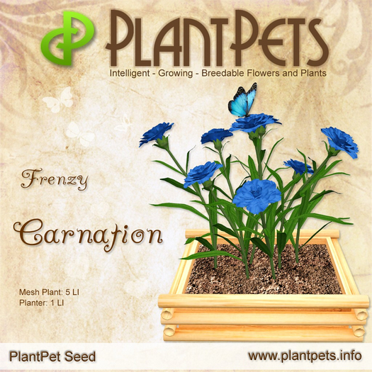 PlantPet Seed [Carnation *Frenzy*] RARE !