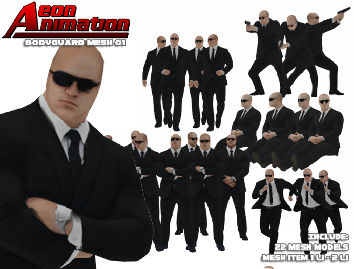 NPC Bodyguard ( A )