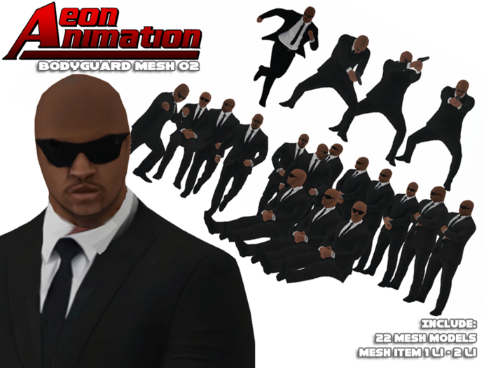 NPC Bodyguard ( B)