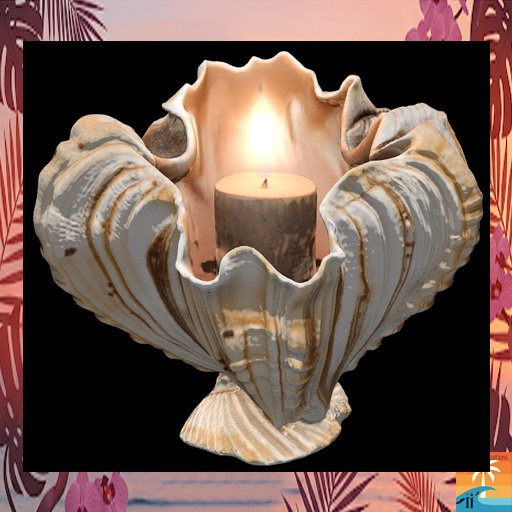 Shell Candle B
