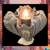 Shell Candle B
