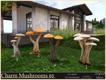 Mushrooms