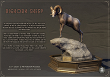 Dirty Rat - Bighorn Sheep
