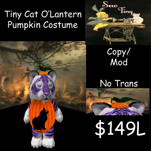 Tiny Cat O'Lantern Pumpkin Costume