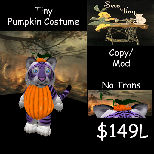 Tiny Pumpkin Costume