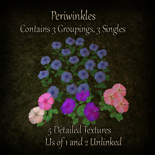 Full Perm Periwinkles Flowers