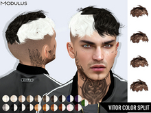 Modulus - Vitor Hair - Color Split - Fat Pack +