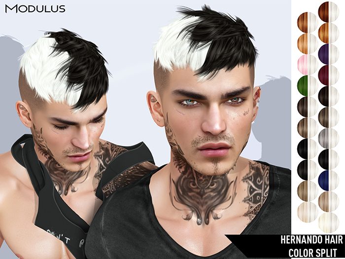 Modulus - Hernando Hair - Color Split - DEMO