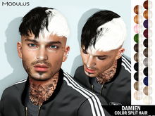 Modulus - Damien Hair - Color Split - Fat Pack