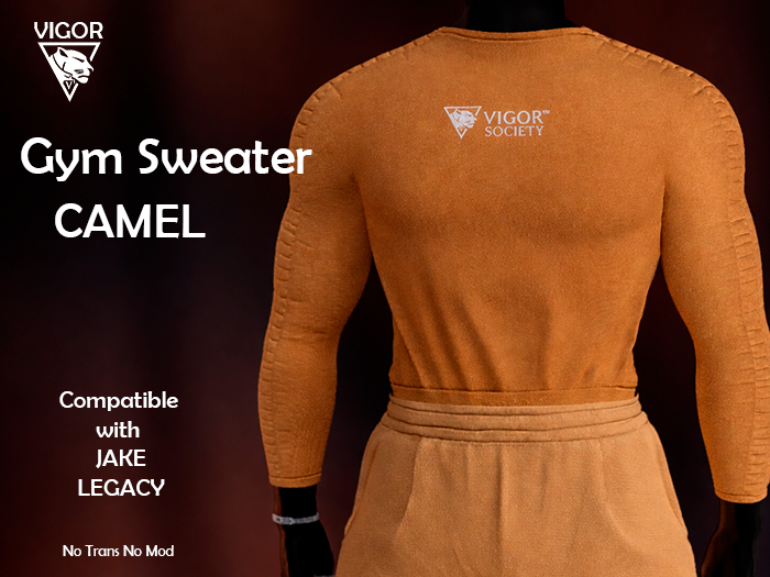 V. Gym sweater CAMEL *Unpack