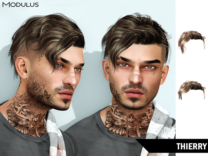 Modulus - Thierry Hair - Style HUD +