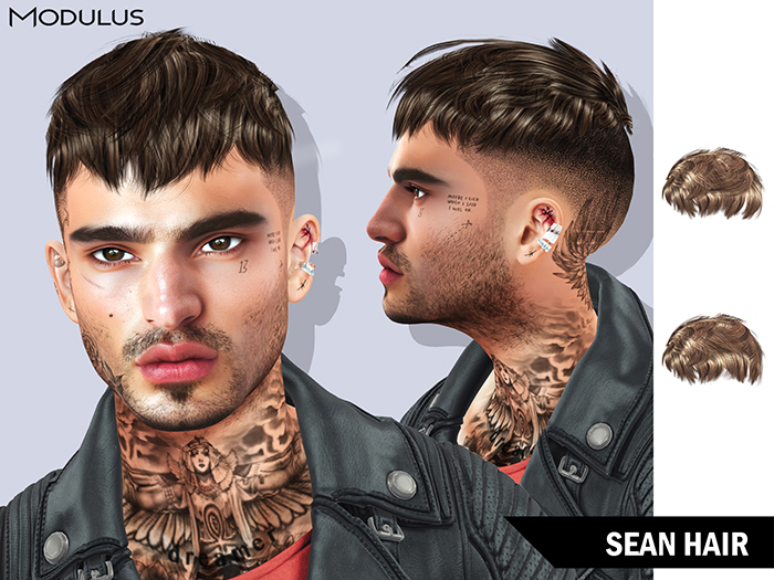 Modulus - Sean Hair - Style HUD +