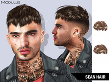 Modulus - Sean Hair - Style HUD +