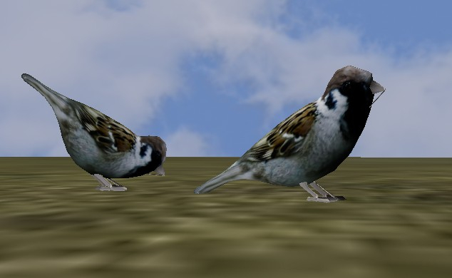 *OceSha*Two Sparrows~mesh~