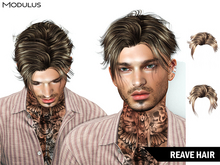 Modulus - Reave Hair - Style HUD +