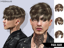 Modulus - Paul Hair - Style HUD +