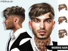 Modulus - Morris Hair - Fat Pack +