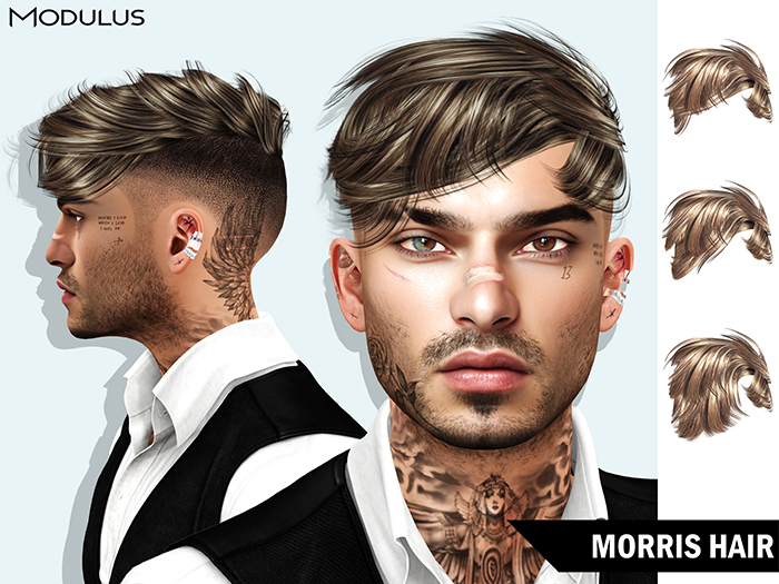 Modulus - Morris Hair - Style HUD +