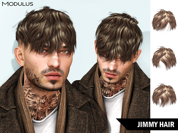 Modulus - Jimmy Hair - Style HUD +