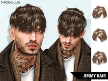 Modulus - Jimmy Hair - Style HUD +