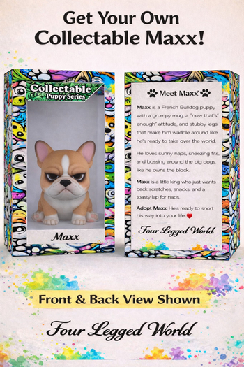 Frenchie Pup Collection Crate