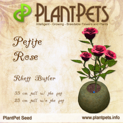 PlantPet Seed [Petite Rose *Rhett Butler*] C