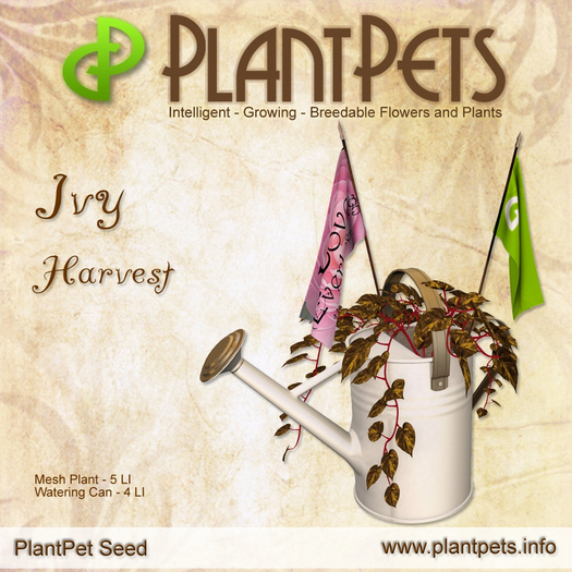 PlantPet Seed [Ivy *Harvest*] R