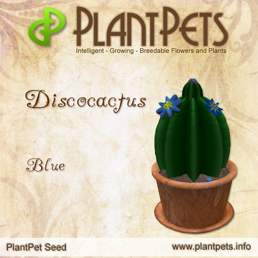PlantPet Seed [Discocactus *Blue*] C