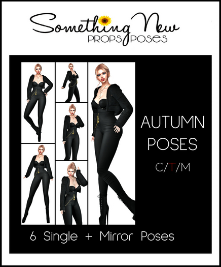 **SN~ Autumn