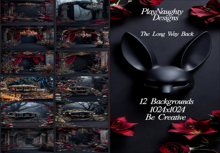 PlayNaughty The Long Way Back pkg