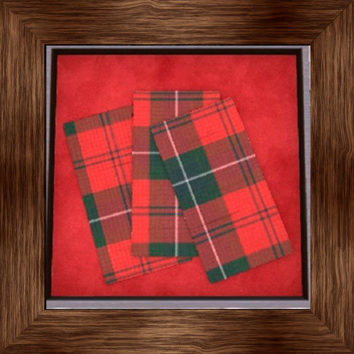 [6] DFS Xmas Essence of Flannel
