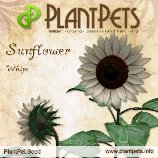 PlantPet Seed [Sunflower *White*]