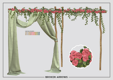 BROKEN ARROWS - Rosalia Arch - Rose 