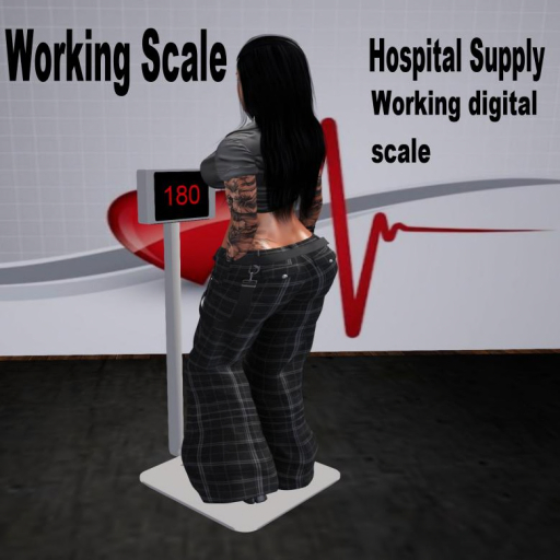 Working Scale