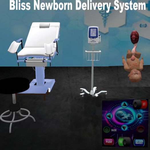 Bliss Baby Delivery System
