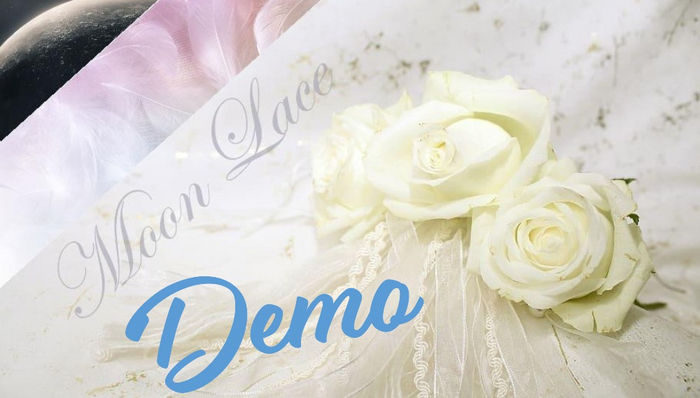 Velvet Wine Lingerie (Assorted) DEMO