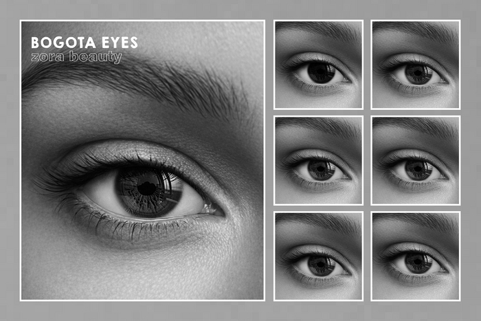 ZORA BEAUTY - BOGOTA EYES - EVOX - DEMO