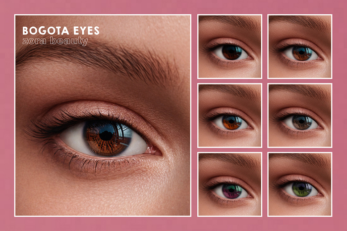 ZORA BEAUTY - BOGOTA EYES - EVOX - FULL PACK