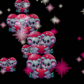  Koala Couple  Confetti Tosser Thrower