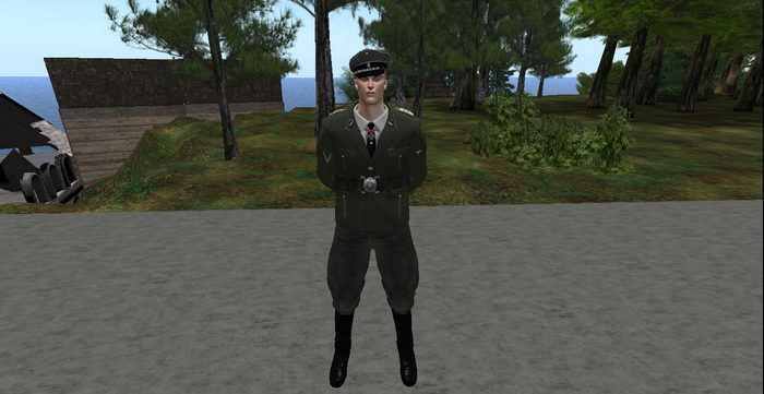 WAFFEN SS STANDARTENFUHRER M43