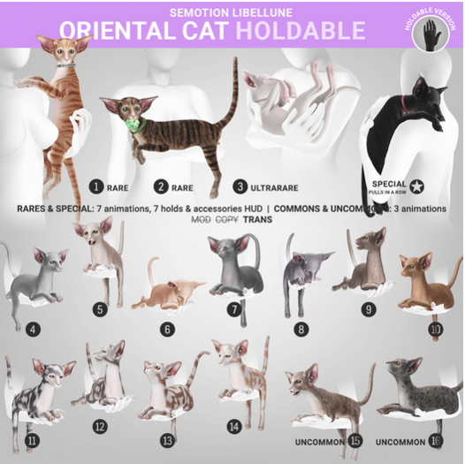 SEmotion Libellune Oriental Cat Holdable RARE 01