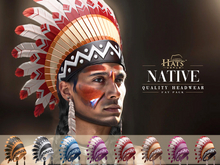 [HW] THE CHIEF INDIAN HEADDRESS