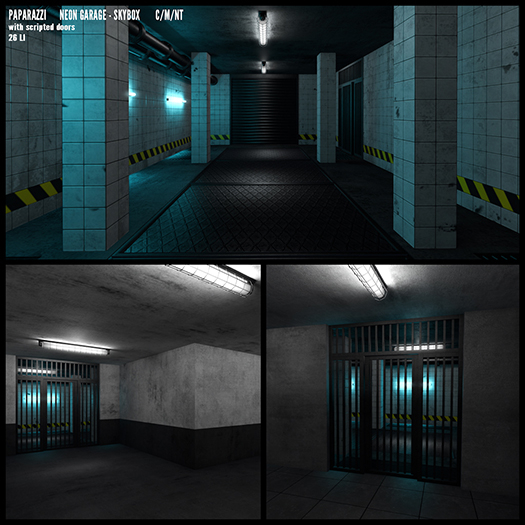 Paparazzi - SKYBOX - Neon Garage 4