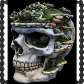 Skull Succulent Garden