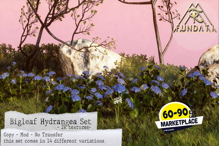 (Fundati) Bigleaf Hydrangea Set