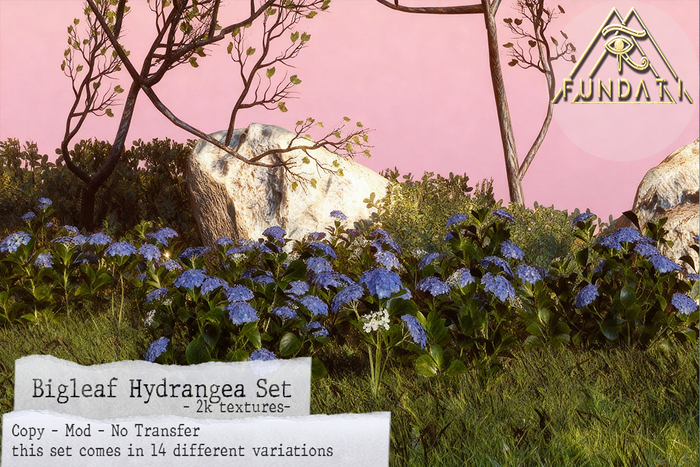 (Fundati) Bigleaf Hydrangea Set